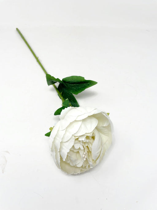 50cm Single Stem Off White Peony