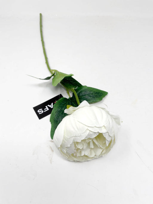 50cm Single Stem Ivory Peony