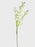 White Orchid Spray x 90cm