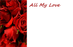 Valentine Florist Message Cards - All My Love x 50