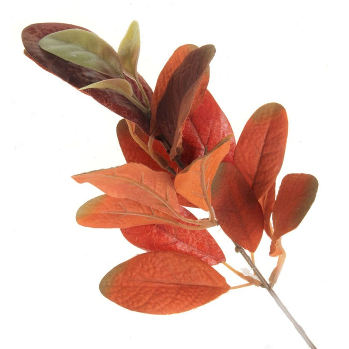 Ficus Callosa Spray - Orange - 35cm long