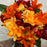 Rose Dahlia & Orchid Bush - Burnt Orange