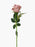 Single Stem Velvet Touch Rose x 52cm - Mauve