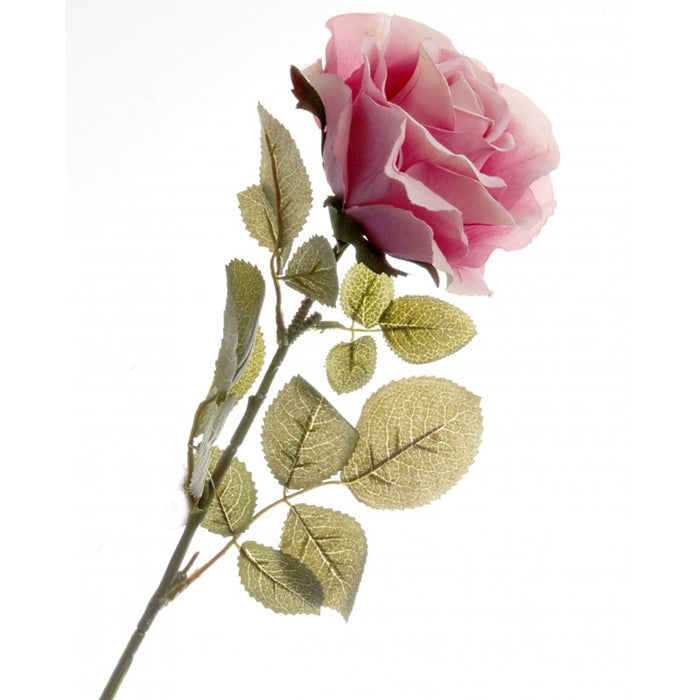 Rose - Dusty Pink - 70cm long