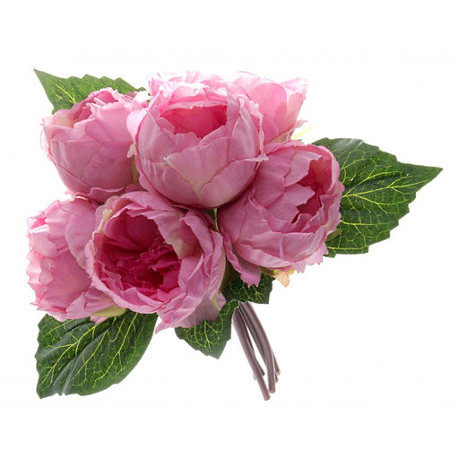 Dusty Pink Peony Bush 6 Heads PE0602