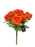 9 Head Small Tea Rose Bush - Orange