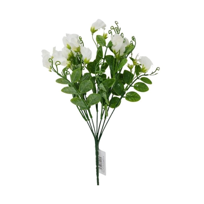 Sweet Pea Bush x 32cm - White